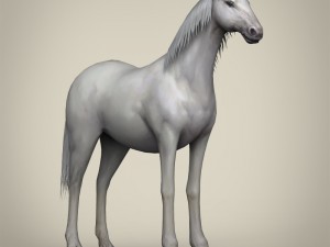 game ready white horse 3D 모델