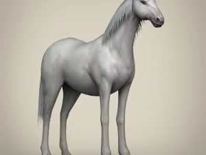 game ready white horse 3D Model