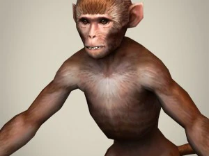 гра готова реалістична мавпа 3D Модель