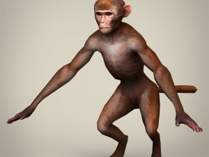 game ready realistic monkey 3D Model