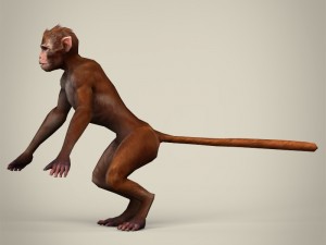 game ready realistic monkey 3D Model