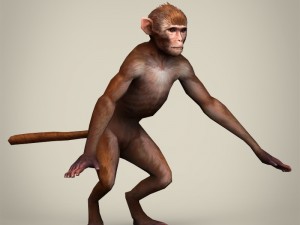 game ready realistic monkey 3D Model