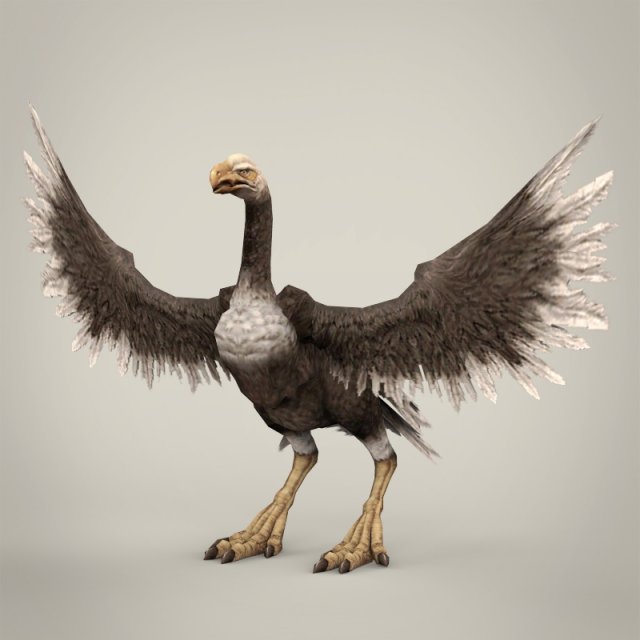 game ready fantasy vulture Modèle 3D .c4d .max .obj .3ds .fbx .stl .blend 