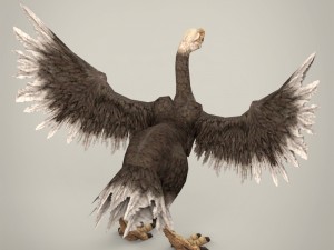 game ready fantasy vulture Modèle 3D