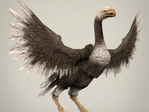 game ready fantasy vulture Modèle 3D
