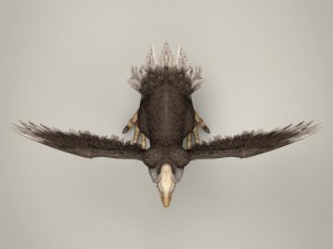game ready fantasy vulture Modèle 3D