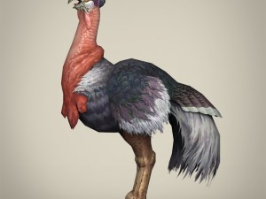 game ready fantasy ostrich Modelo 3D