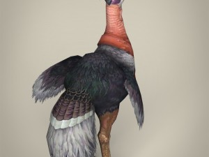 game ready fantasy ostrich Modelo 3D