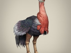 game ready fantasy ostrich Modelo 3D