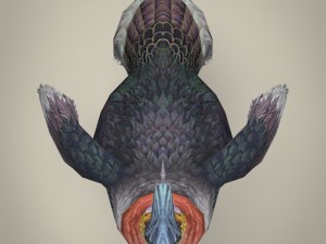 game ready fantasy ostrich Modelo 3D