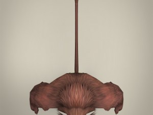 fantasy warrior ape 3D Model