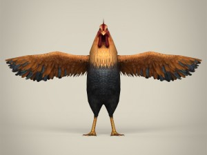 game ready realistic cock Modelo 3D