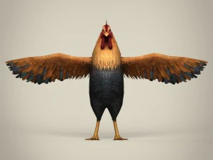 game ready realistic cock 3D Model