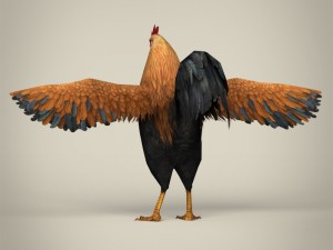 game ready realistic cock Modelo 3D