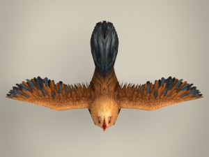 game ready realistic cock Modelo 3D