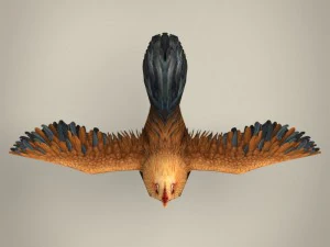 game ready realistic cock 3D Model