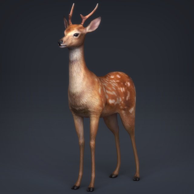 low poly realistic deer 3D Модель .c4d .max .obj .3ds .fbx .stl .blend 