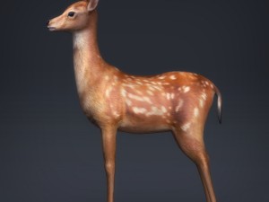 low poly realistic deer 3D Модель