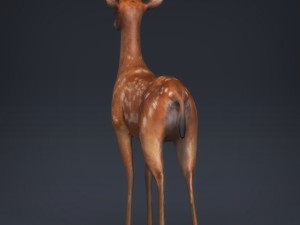 low poly realistic deer 3D Модель