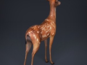 low poly realistic deer 3D Модель