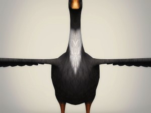 low poly realistic duck 3D Модель