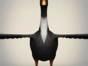 low poly realistic duck 3D Model