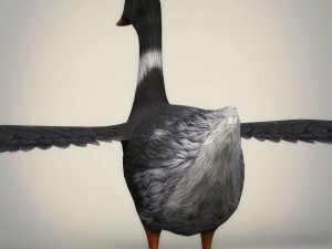 low poly realistic duck 3D Модель