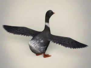 low poly realistic duck 3D Model