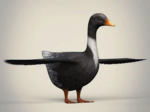 low poly realistic duck 3D Model
