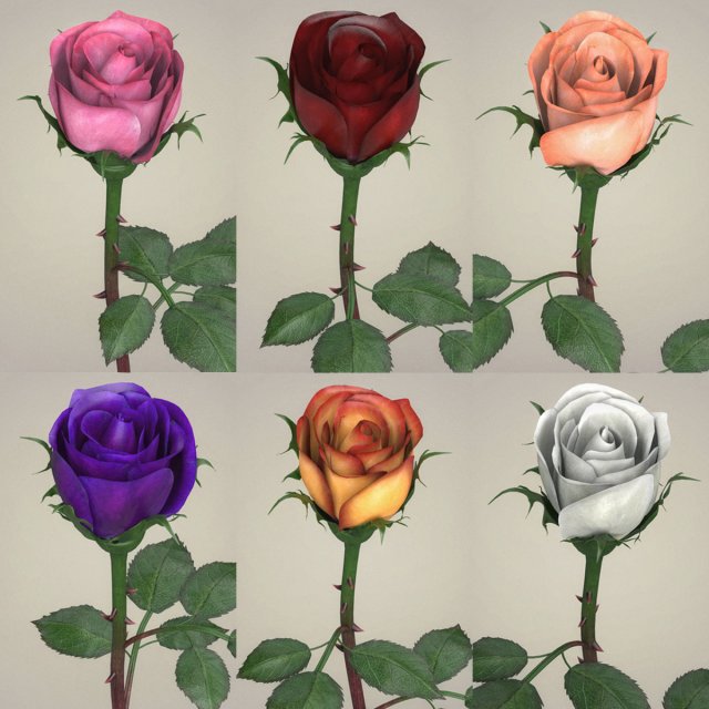 rose flower collection 3D मॉडल .c4d .max .obj .3ds .fbx .stl .blend 