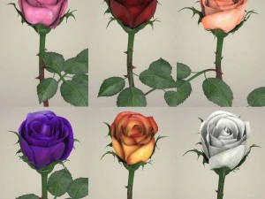 kolekcja kwiat&oacute;w r&oacute;ży Model 3D