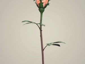 rose flower collection 3D मॉडल