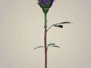 rose flower collection 3D मॉडल