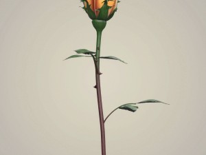 rose flower collection 3D मॉडल