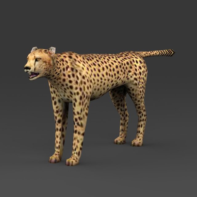 game ready low poly leopard 3D Model .c4d .max .obj .3ds .fbx .stl .blend 