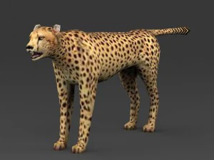 juego listo leopardo de baja poli Modelo 3D