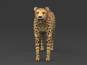 game ready low poly leopard 3D Model