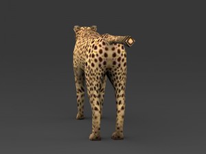 game ready low poly leopard 3D Model