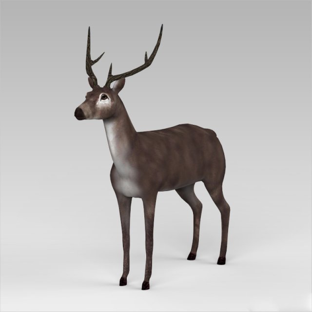game ready low poly buck 3D Model .c4d .max .obj .3ds .fbx .stl .blend 