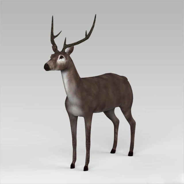 game ready low poly buck 3D Model .c4d .max .obj .3ds .fbx .stl .blend 