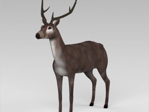 game ready low poly buck 3D Model