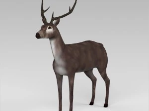 spel klaar laag poly buck 3D Model