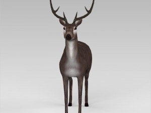 game ready low poly buck 3D Model
