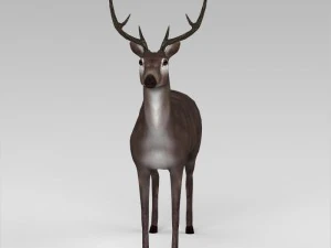 game ready low poly buck 3D Model