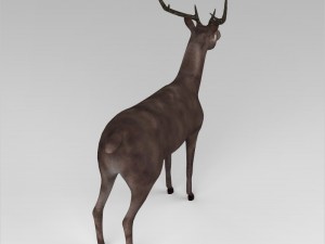 game ready low poly buck 3D Model