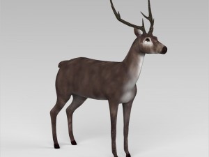 game ready low poly buck 3D Model