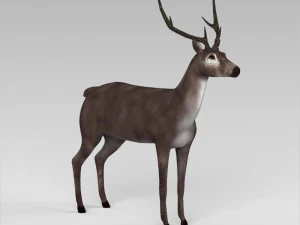 game ready low poly buck 3D Model