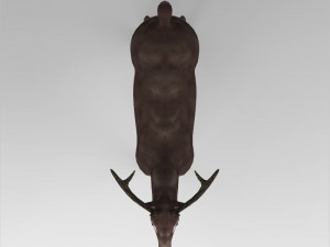 game ready low poly buck 3D Model