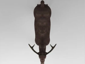 game ready low poly buck 3D Model