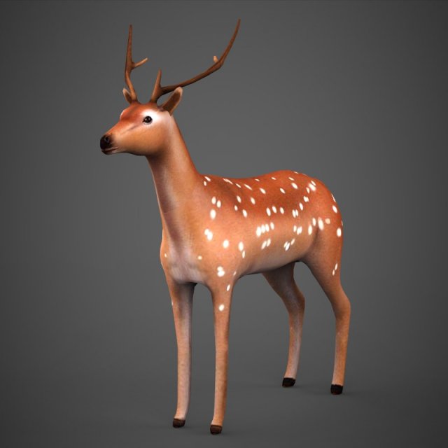 game ready low poly deer Modelo 3D .c4d .max .obj .3ds .fbx .stl .blend 
